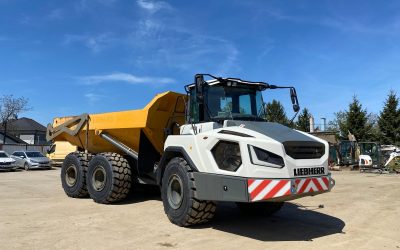 WhatsApp Image 2026-04-28 at 12.05.54 (3)